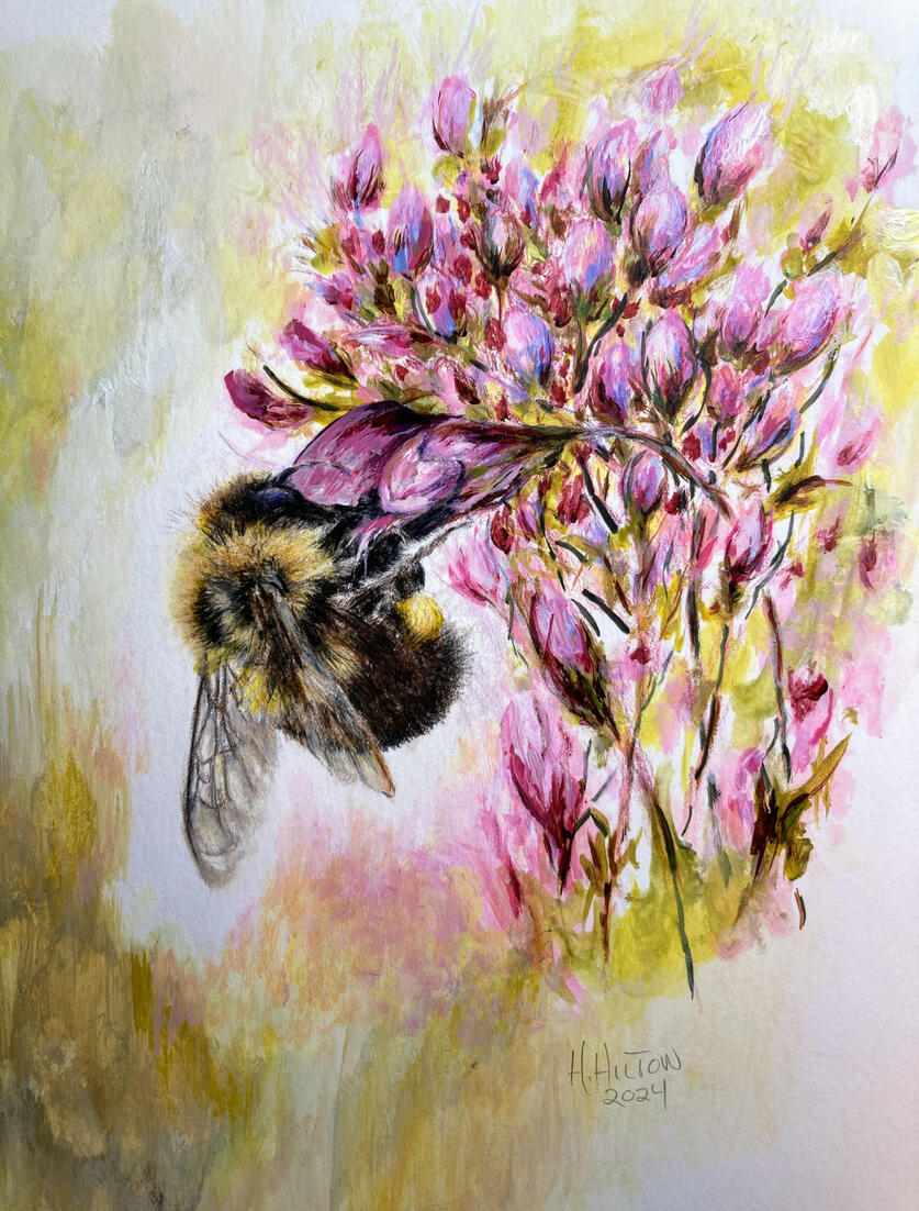 Colored pencil and watercolor